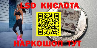 ПСИЛОЦИБИНОВЫЕ ГРИБЫ Камышлов