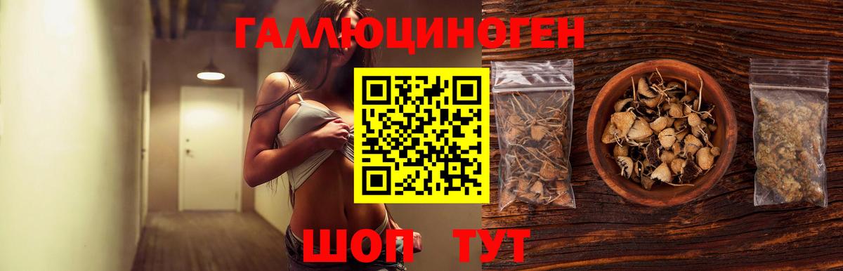Псилоцибиновые грибы мицелий  Вход с VPN  Красный Сулин 